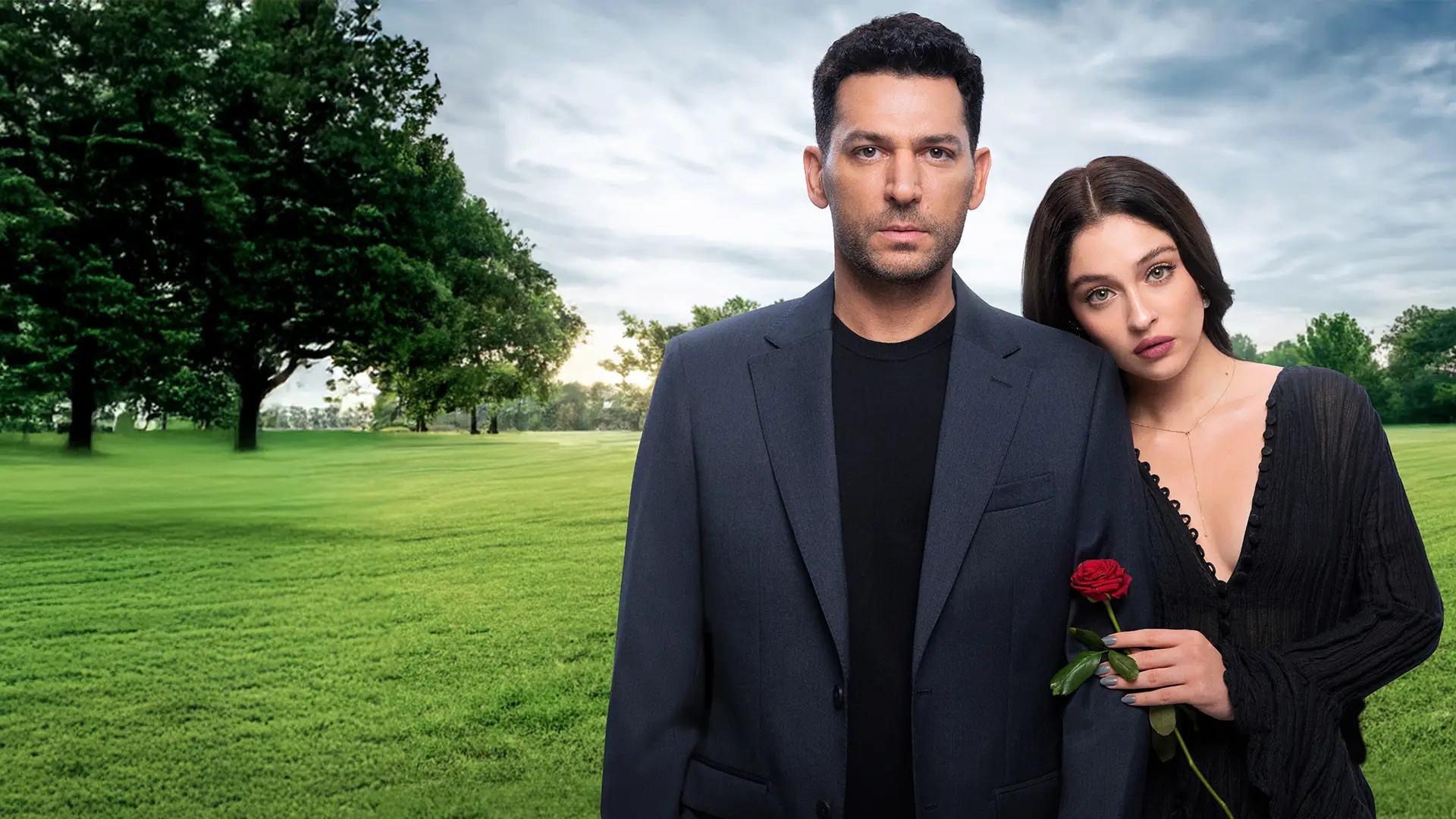 Sins and Roses