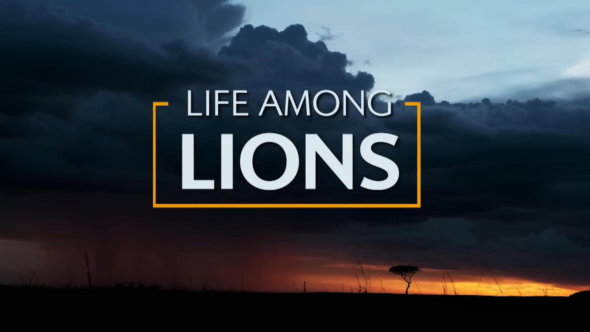 Life Among Lions