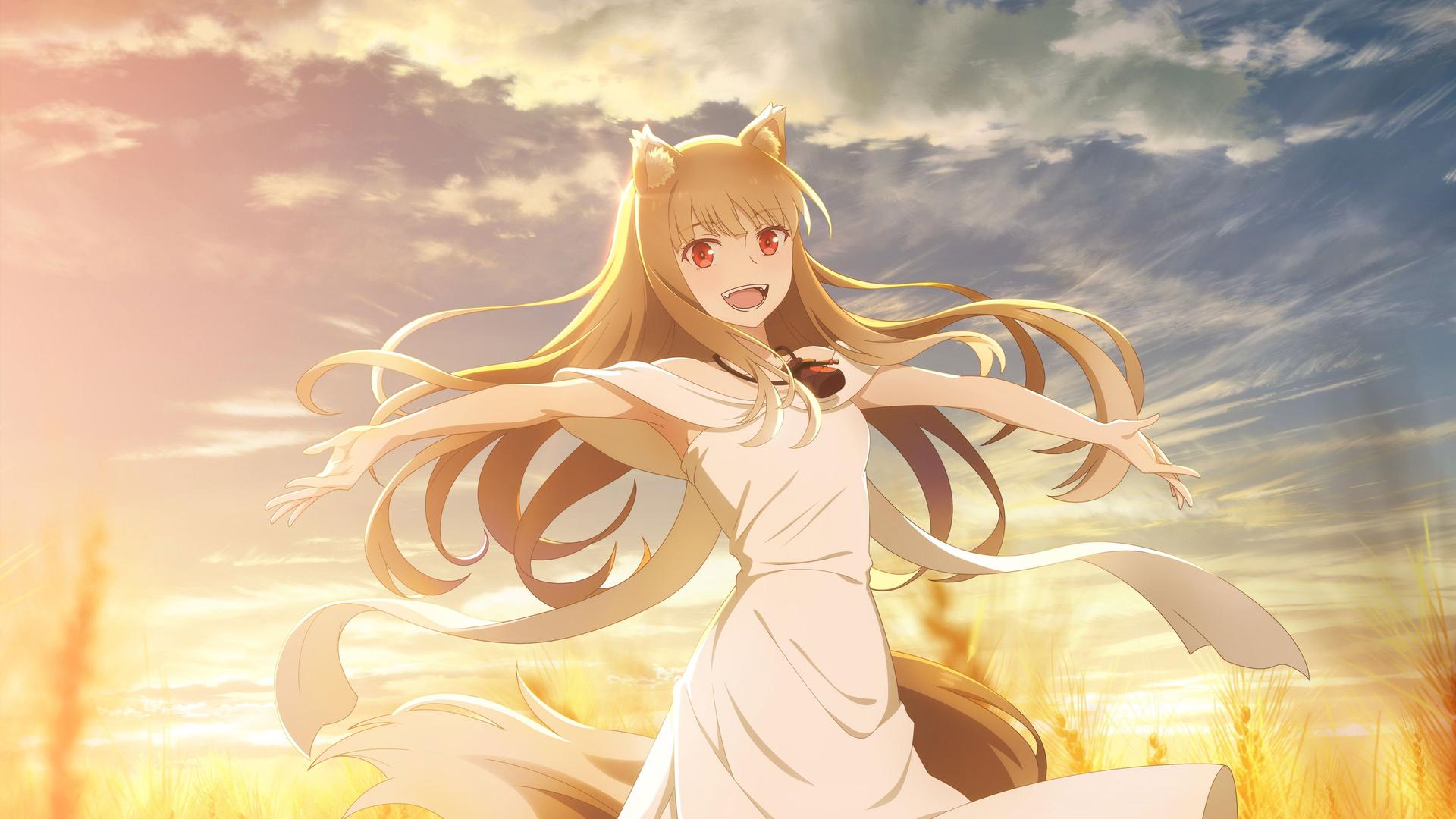 Spice and Wolf: MERCHANT MEETS THE WISE WOLF