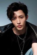 Wang Zuyi