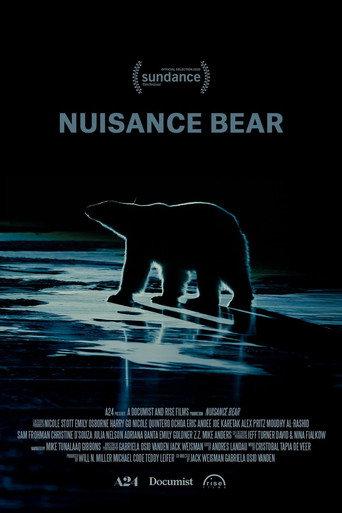 Nuisance Bear