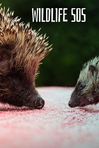 Wildlife SOS
