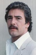 Lee Horsley